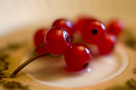red currant